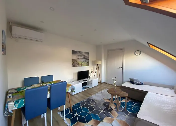 Apartman Vucinic